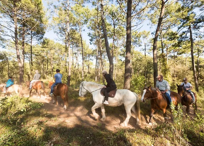 Appartement Pour 4 - à 250m à St Jean De Monts Saint-Jean-de-Monts