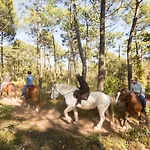 Apartment Pour 4 - A 250m A St Jean De Monts Saint-Jean-de-Monts